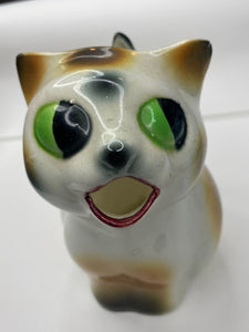 Green-eyed cat pitcher